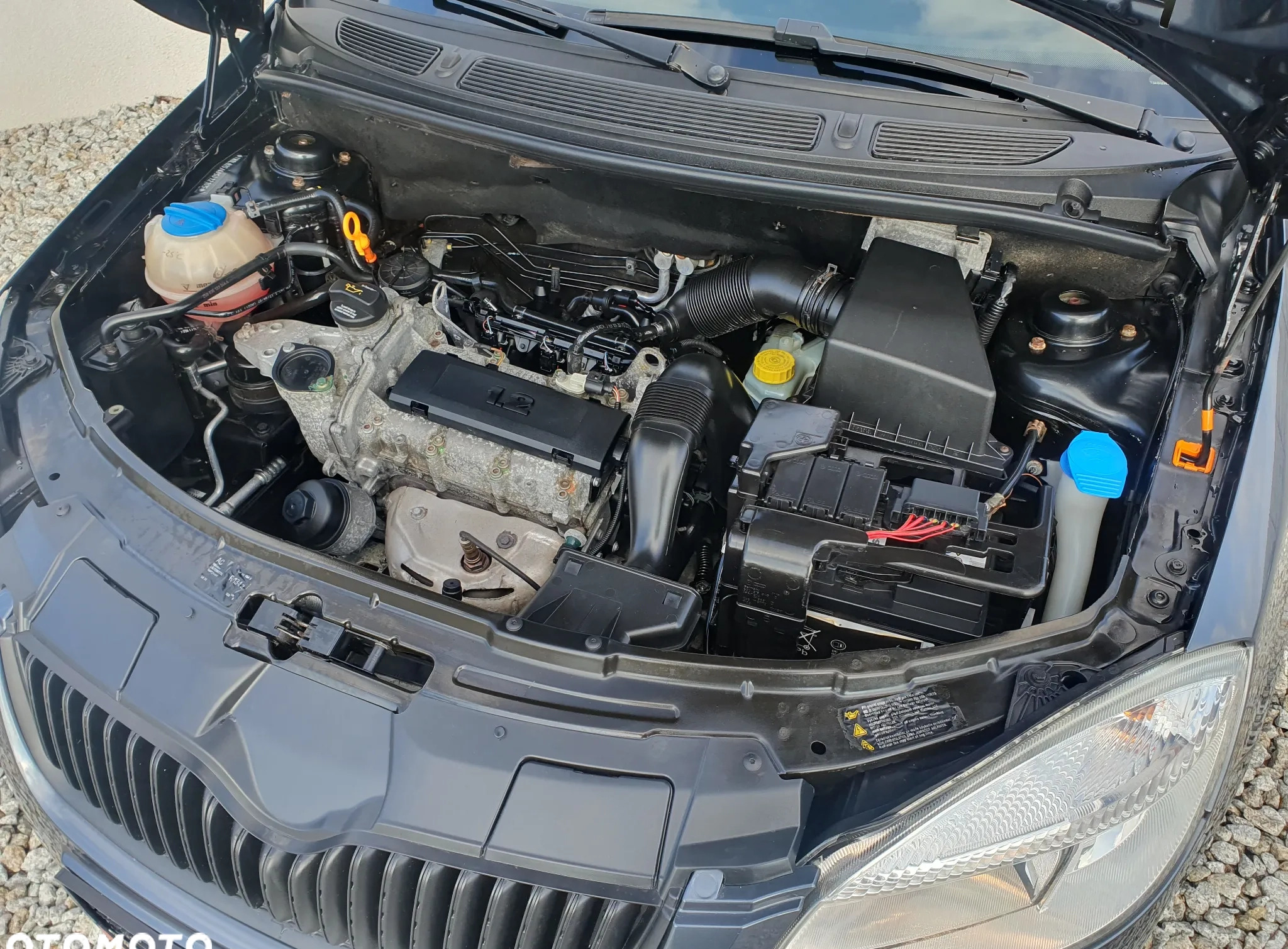 Skoda Roomster cena 14700 przebieg: 180000, rok produkcji 2007 z Strzyżów małe 277